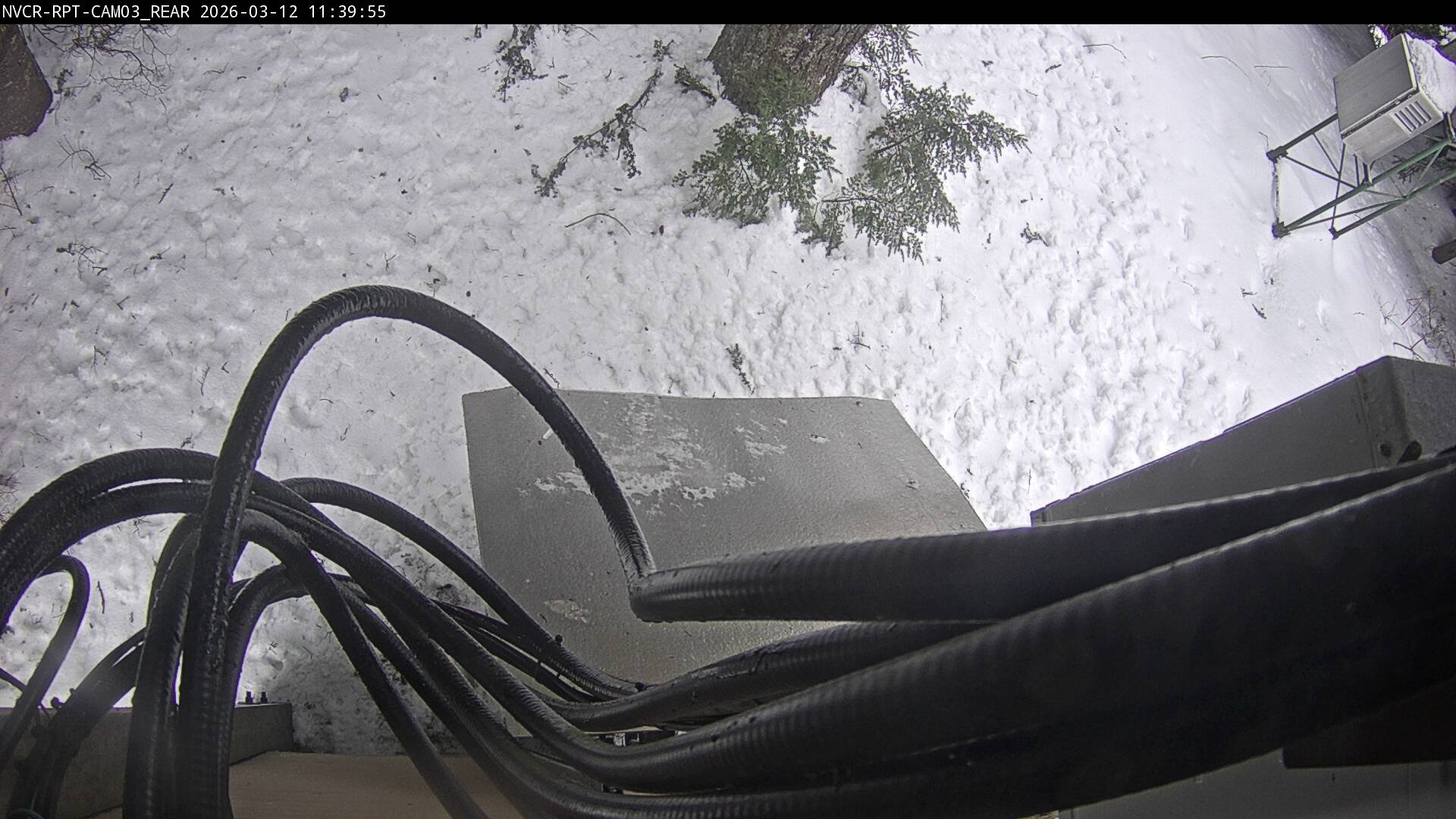 Web Cam History Image - 123