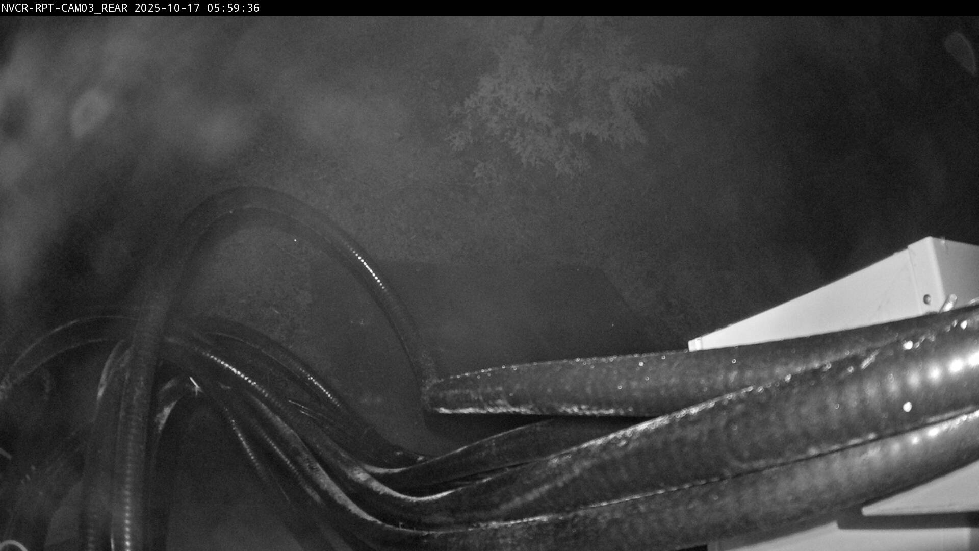 Web Cam History Image - 125