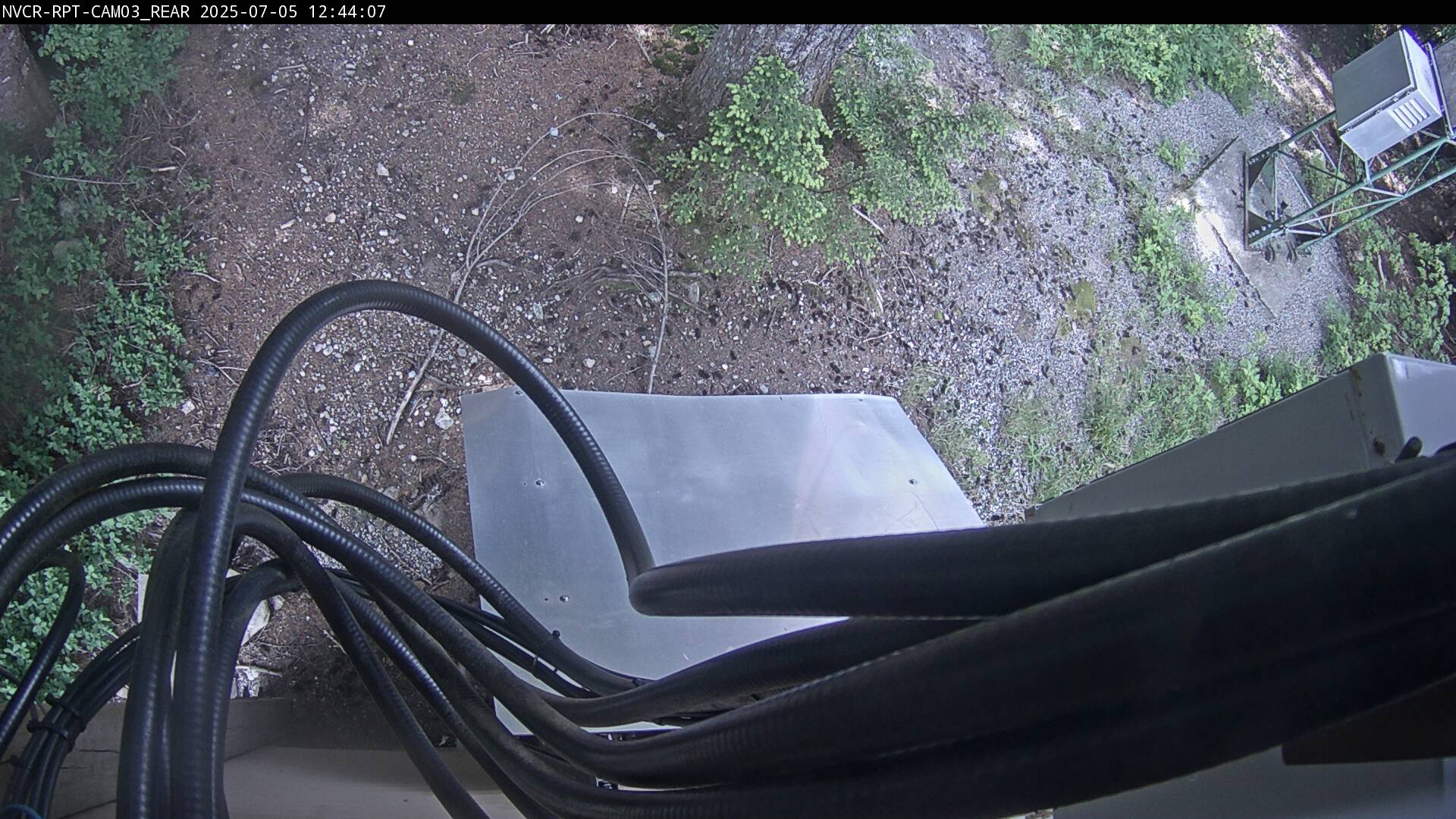 Web Cam History Image - 126