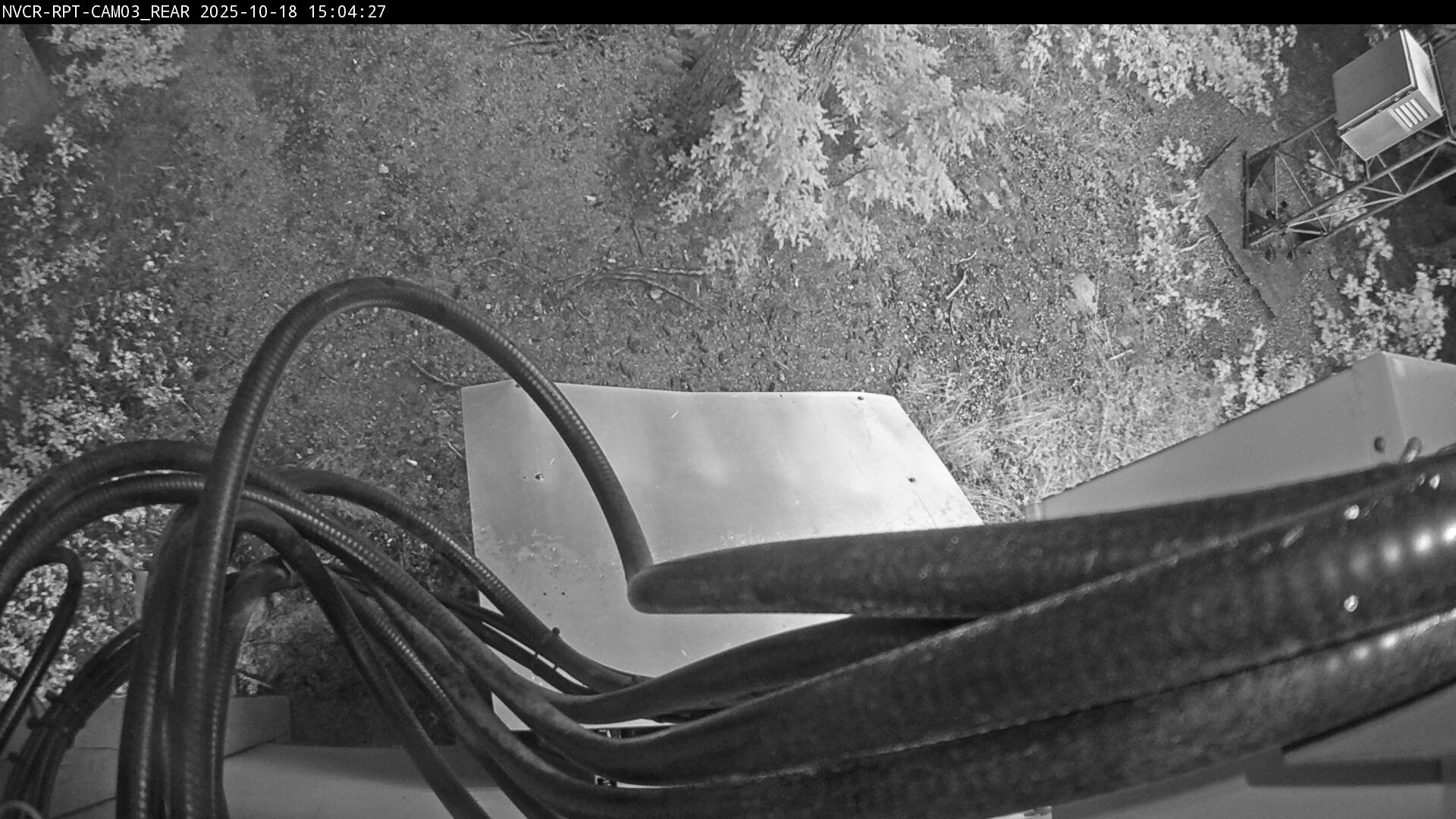 Web Cam History Image - 128