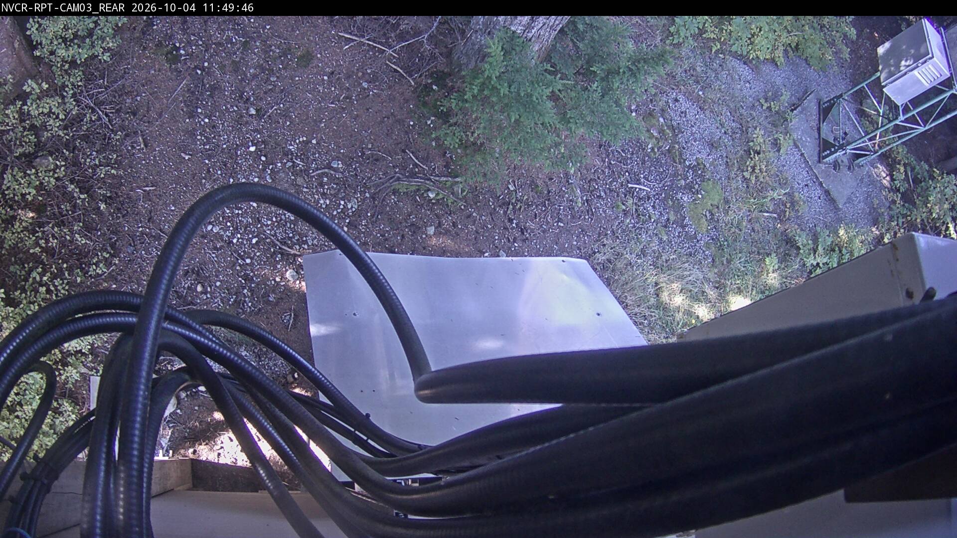 Web Cam History Image - 129