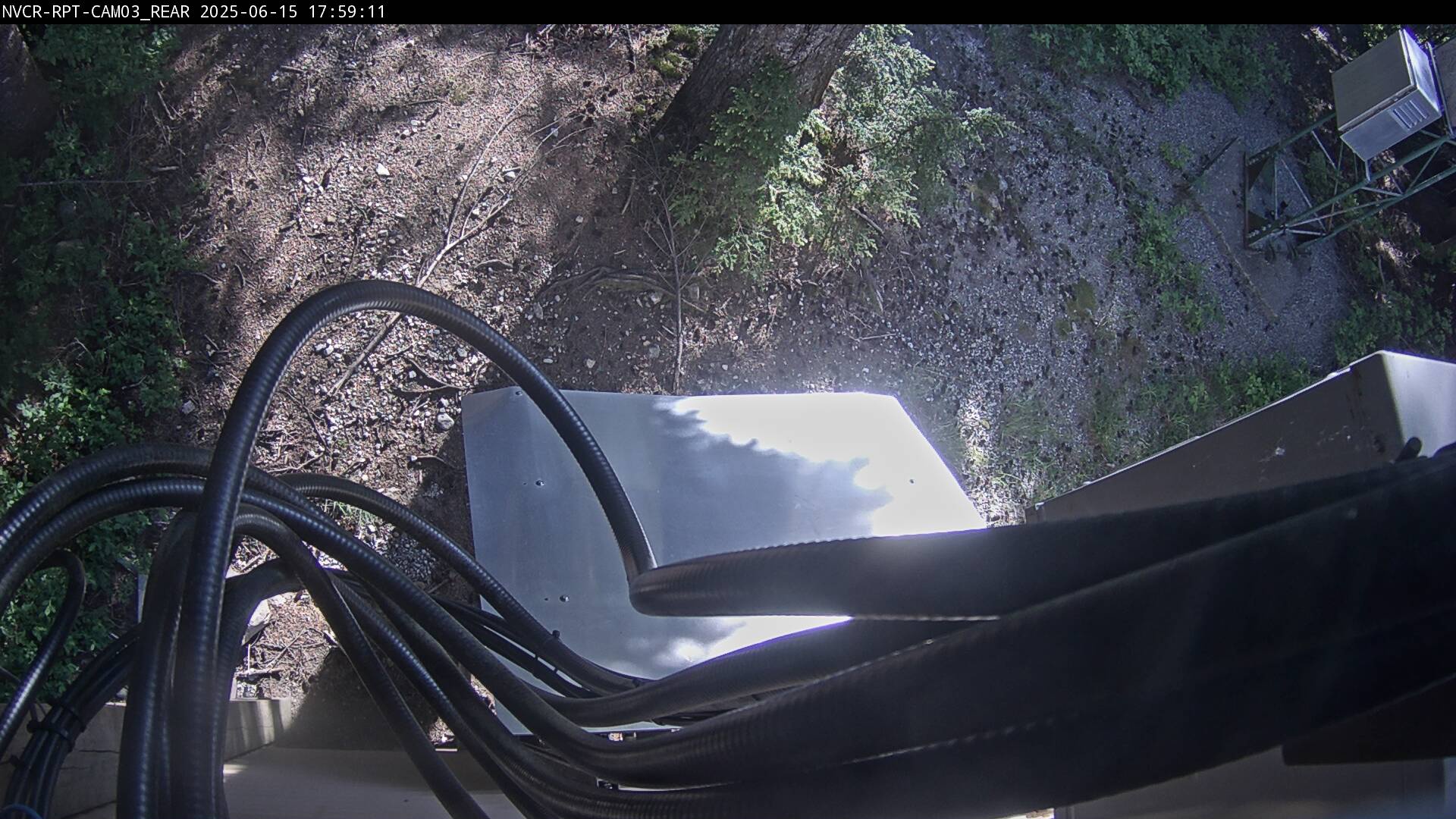 Web Cam History Image - 130