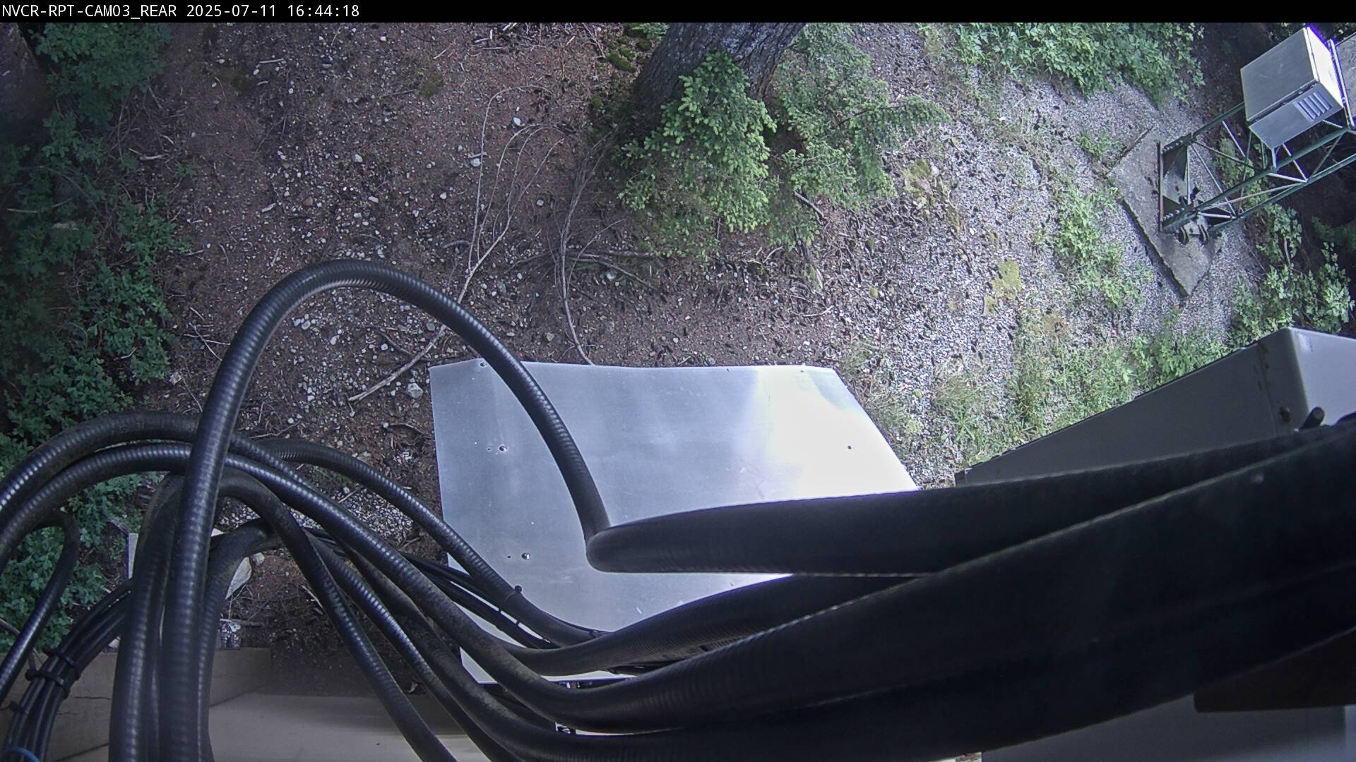 Web Cam History Image - 130