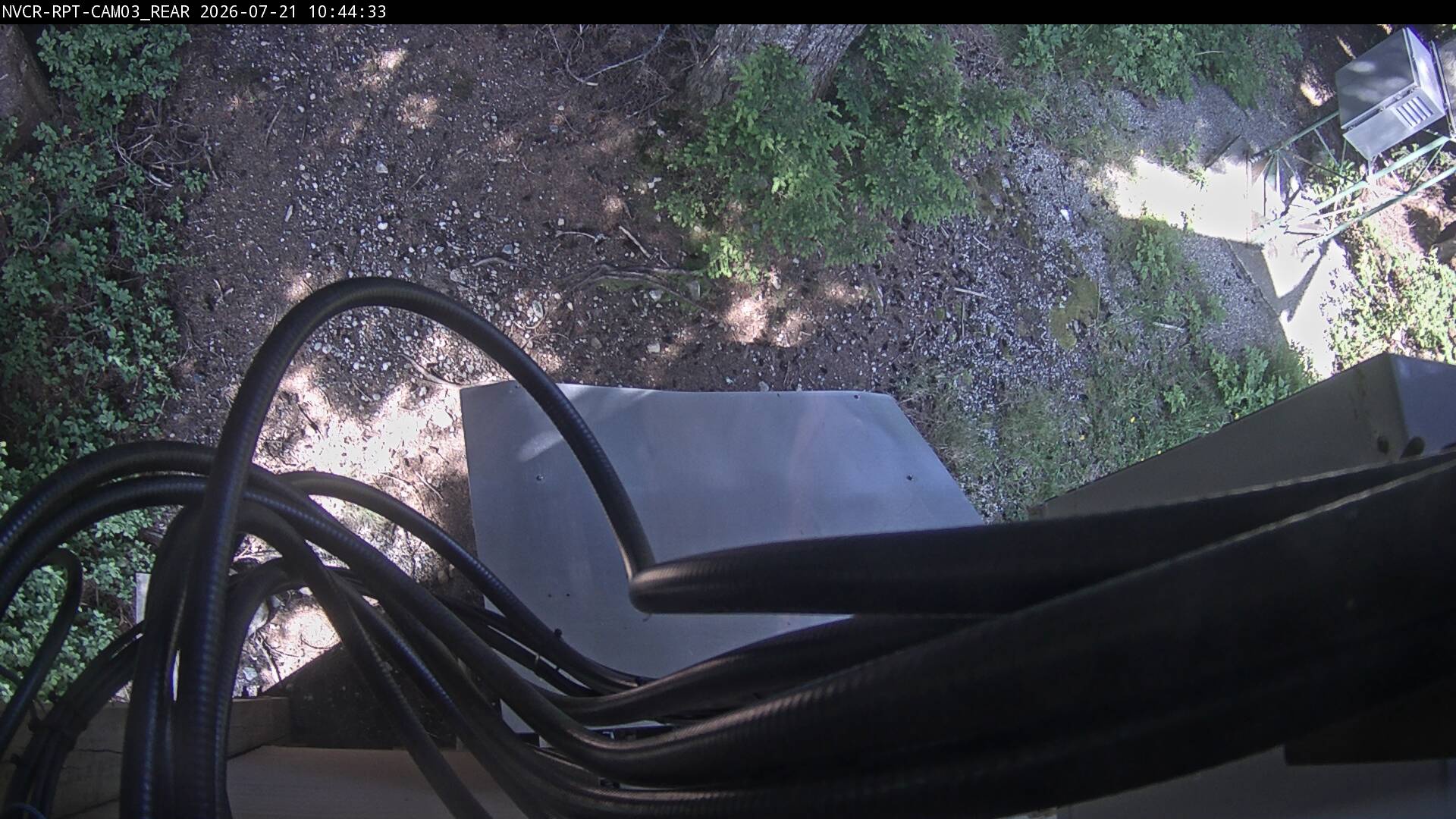 Web Cam History Image - 130