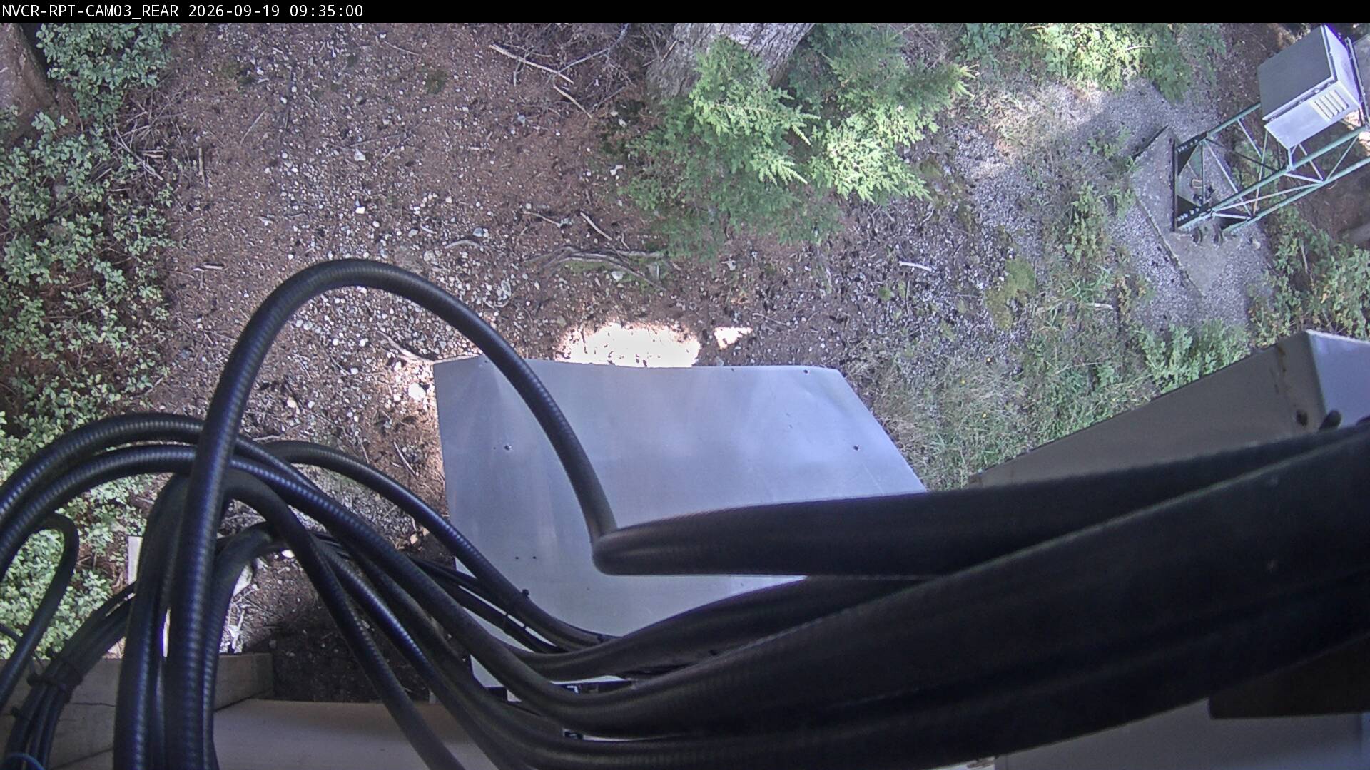 Web Cam History Image - 130