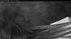 Web Cam Image - Wed, 06/10/2026 1:44am PDT
