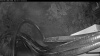 Web Cam Image - Sat, 07/11/2026 3:44am PDT