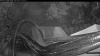 Web Cam Image - Sun, 08/02/2026 8:04pm PDT