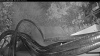 Web Cam Image - Sun, 08/16/2026 5:04am PDT