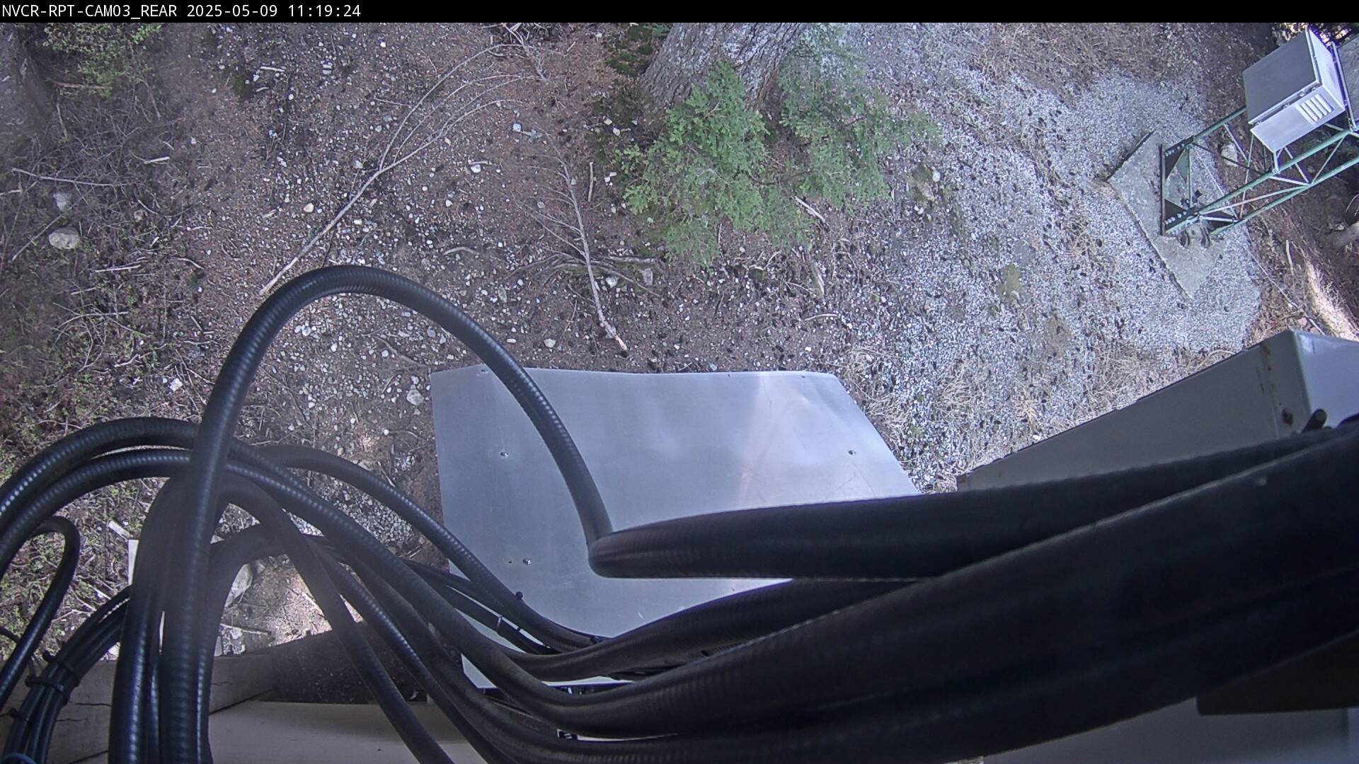 Web Cam History Image - 14