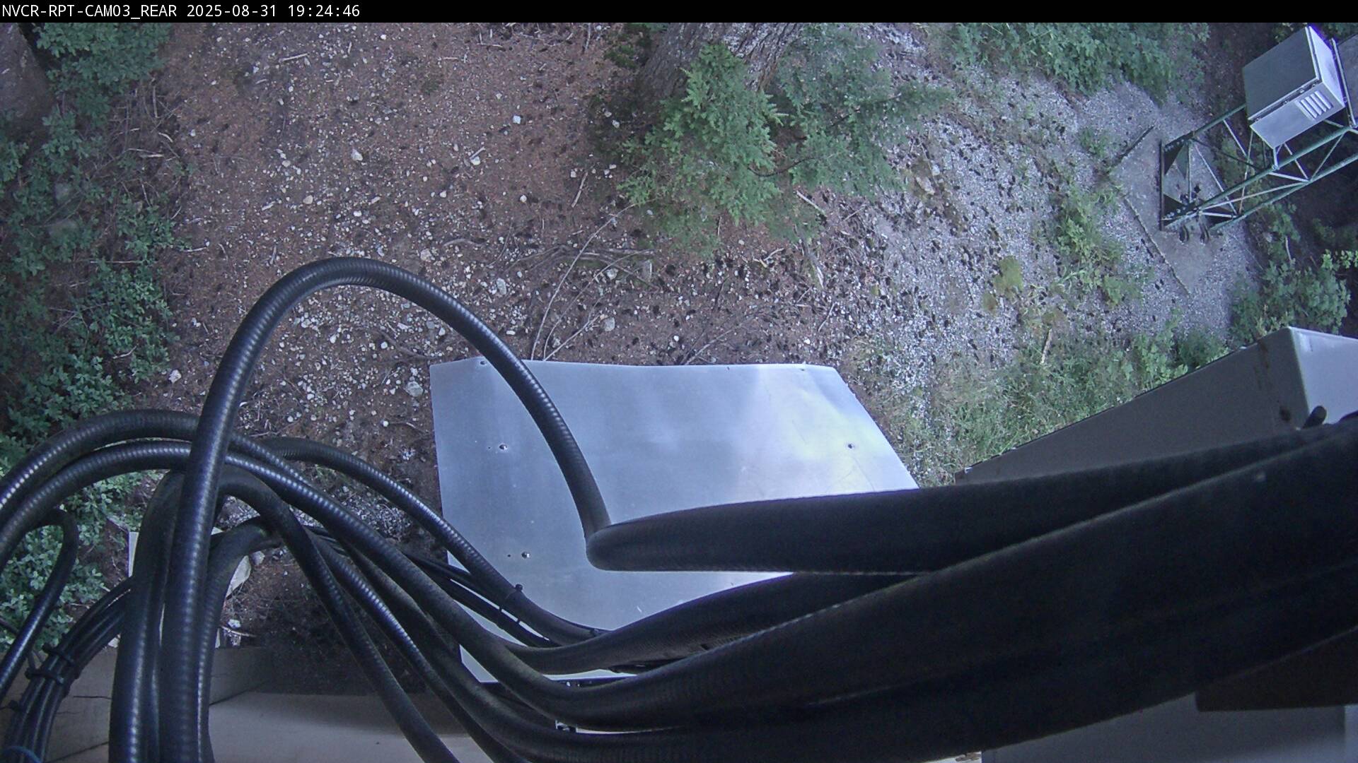 Web Cam History Image - 14