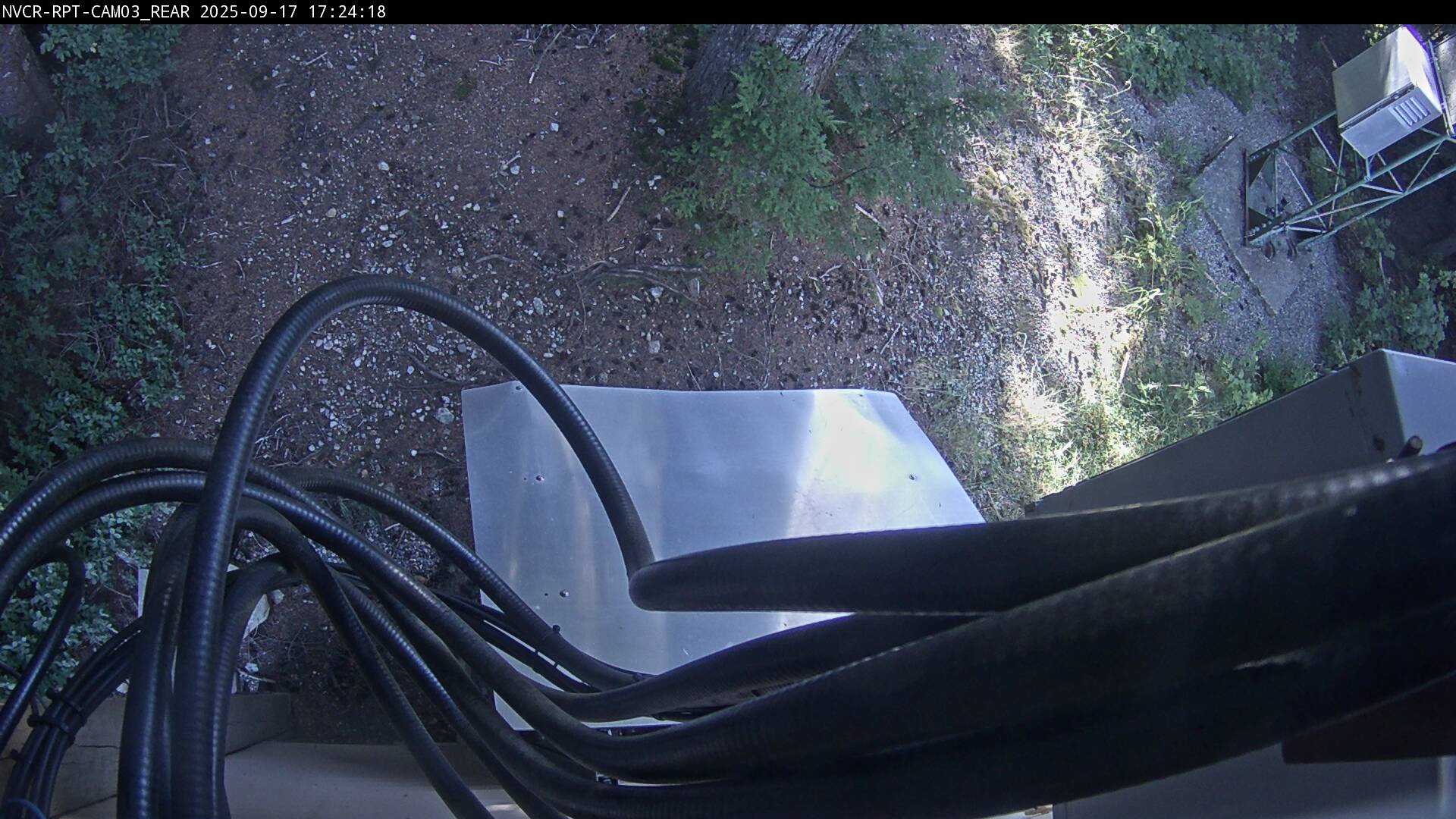 Web Cam History Image - 14
