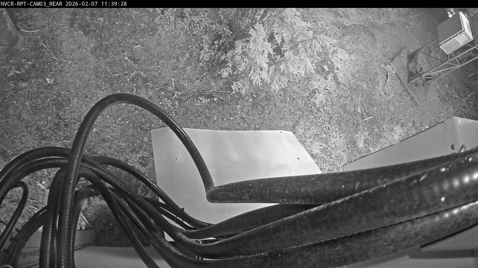 Web Cam History Image - 14