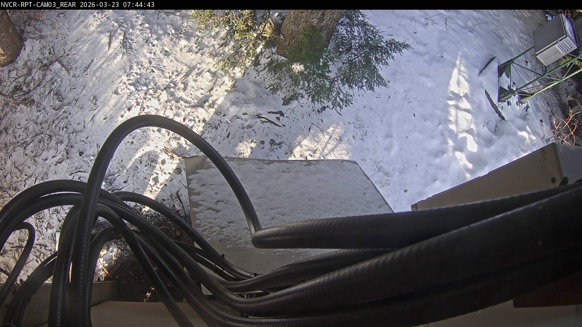 Web Cam History Image - 14