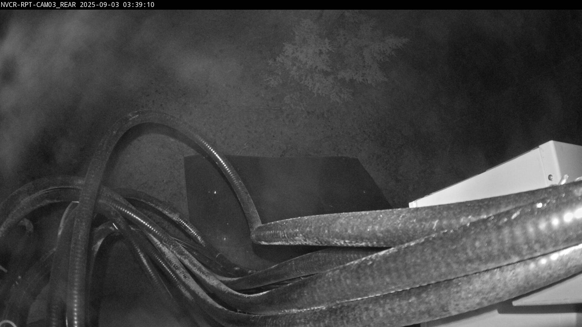 Web Cam History Image - 131