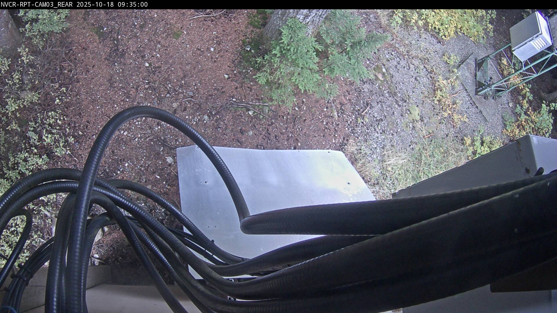Web Cam History Image - 131