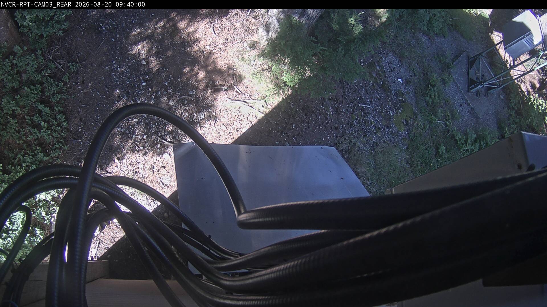 Web Cam History Image - 131