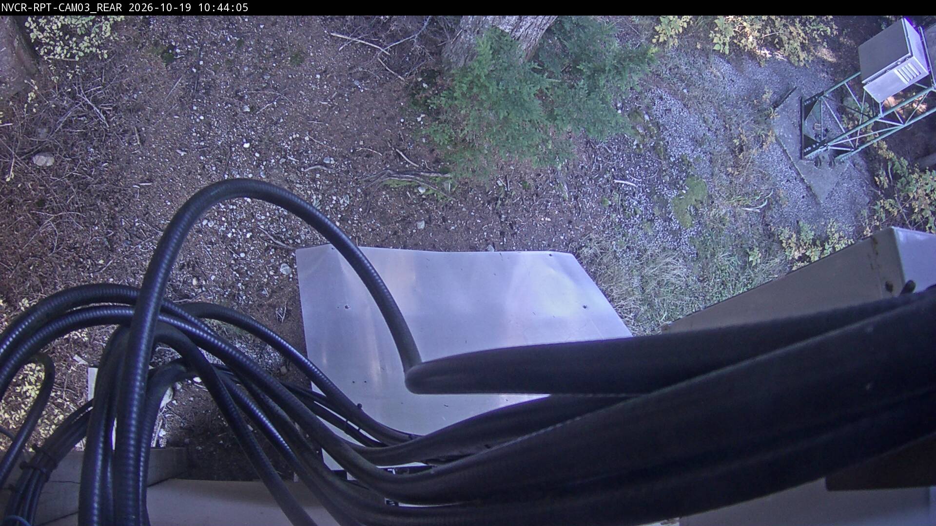 Web Cam History Image - 131