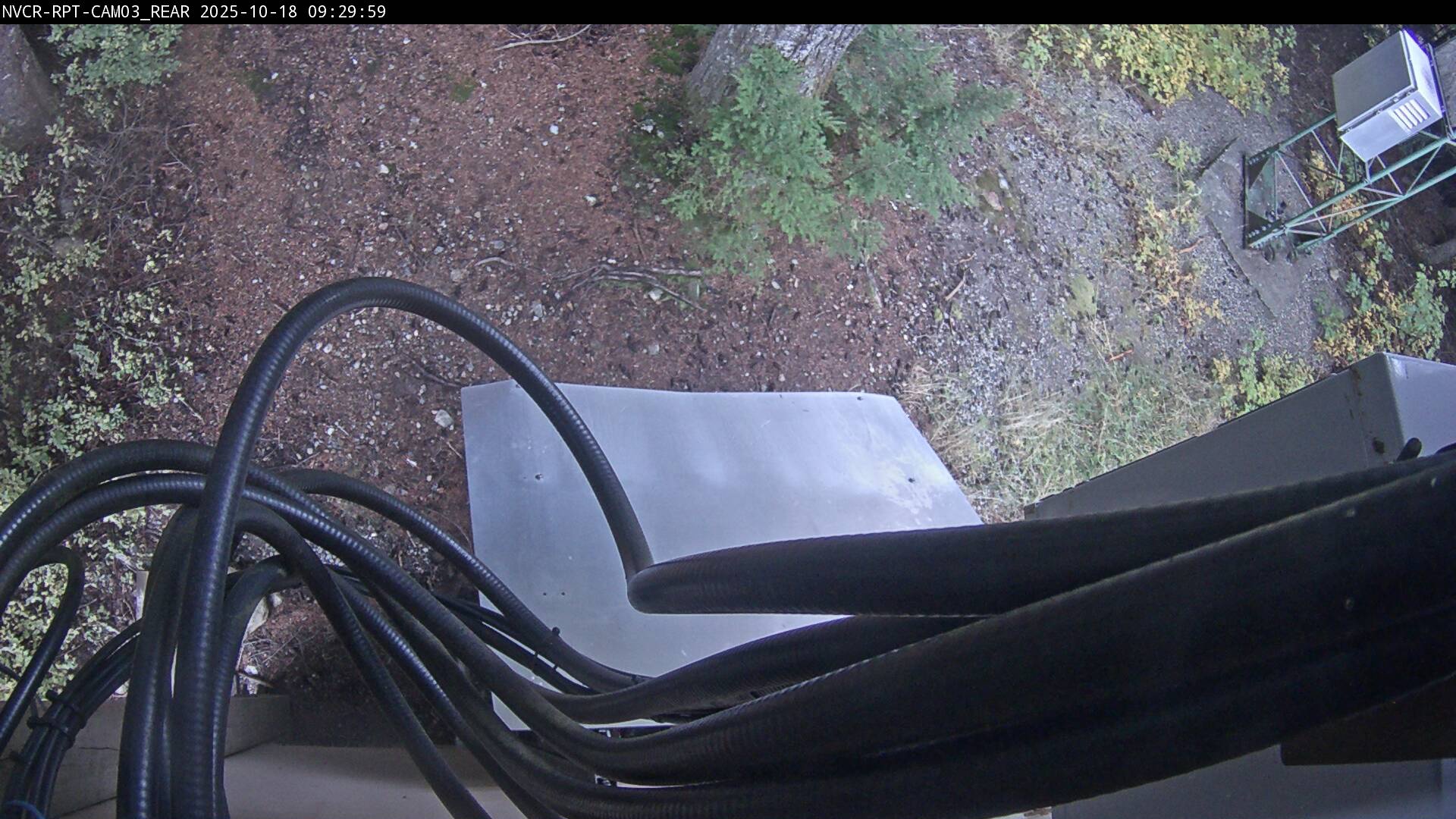 Web Cam History Image - 132