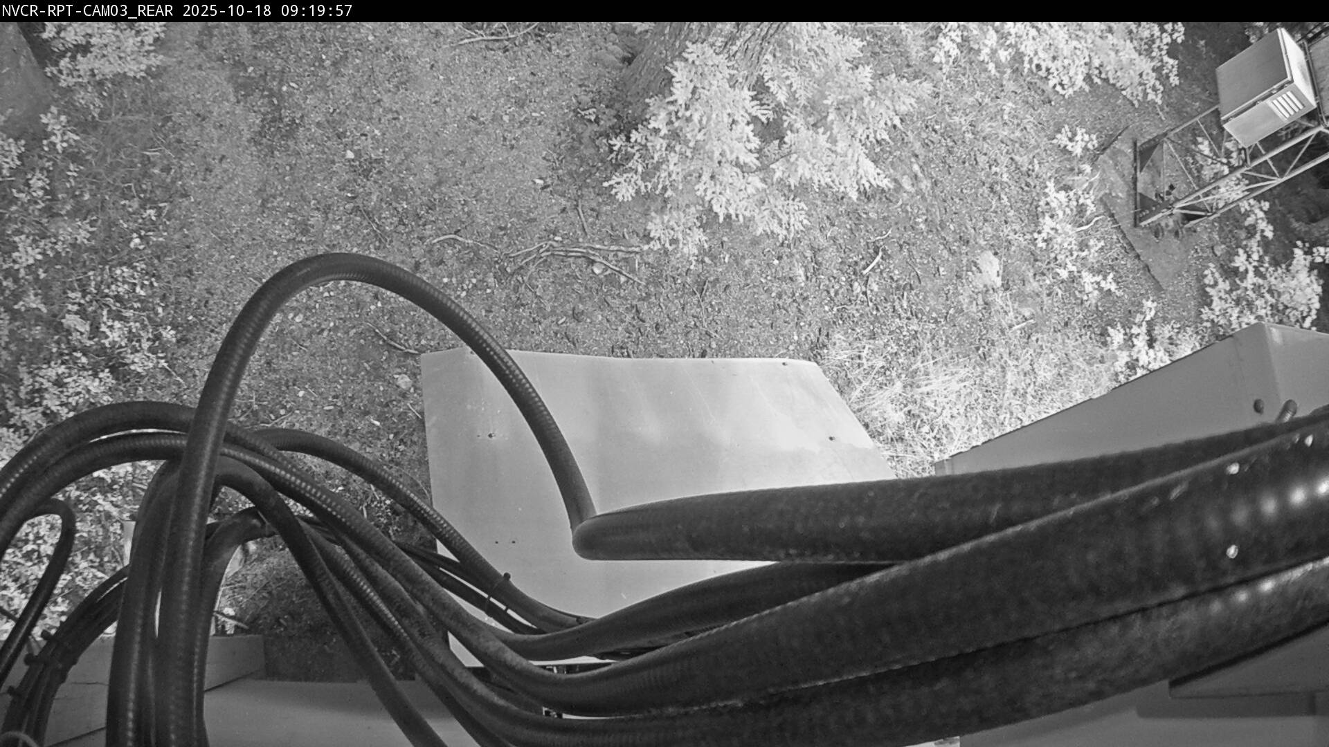 Web Cam History Image - 133
