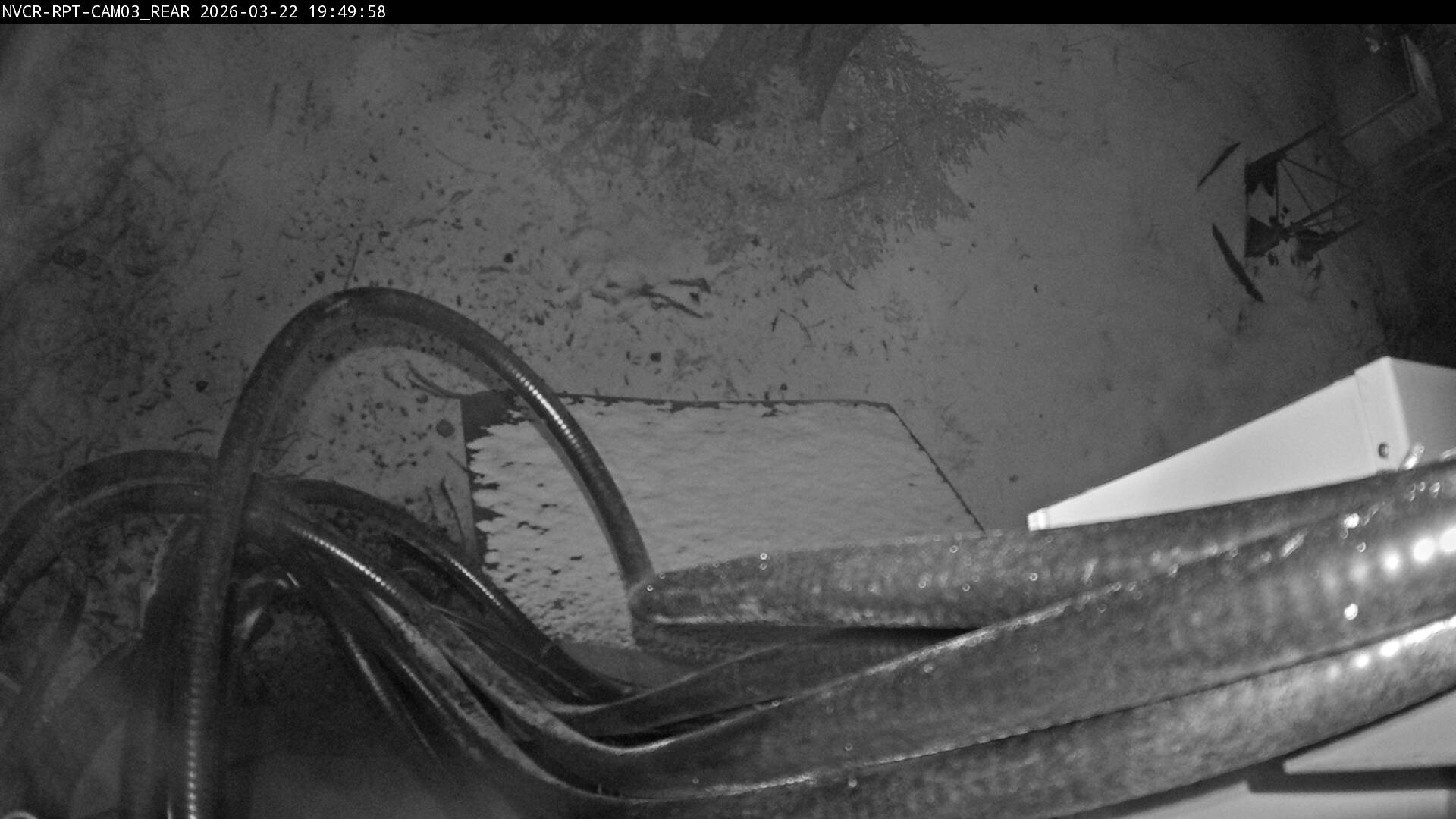 Web Cam History Image - 133