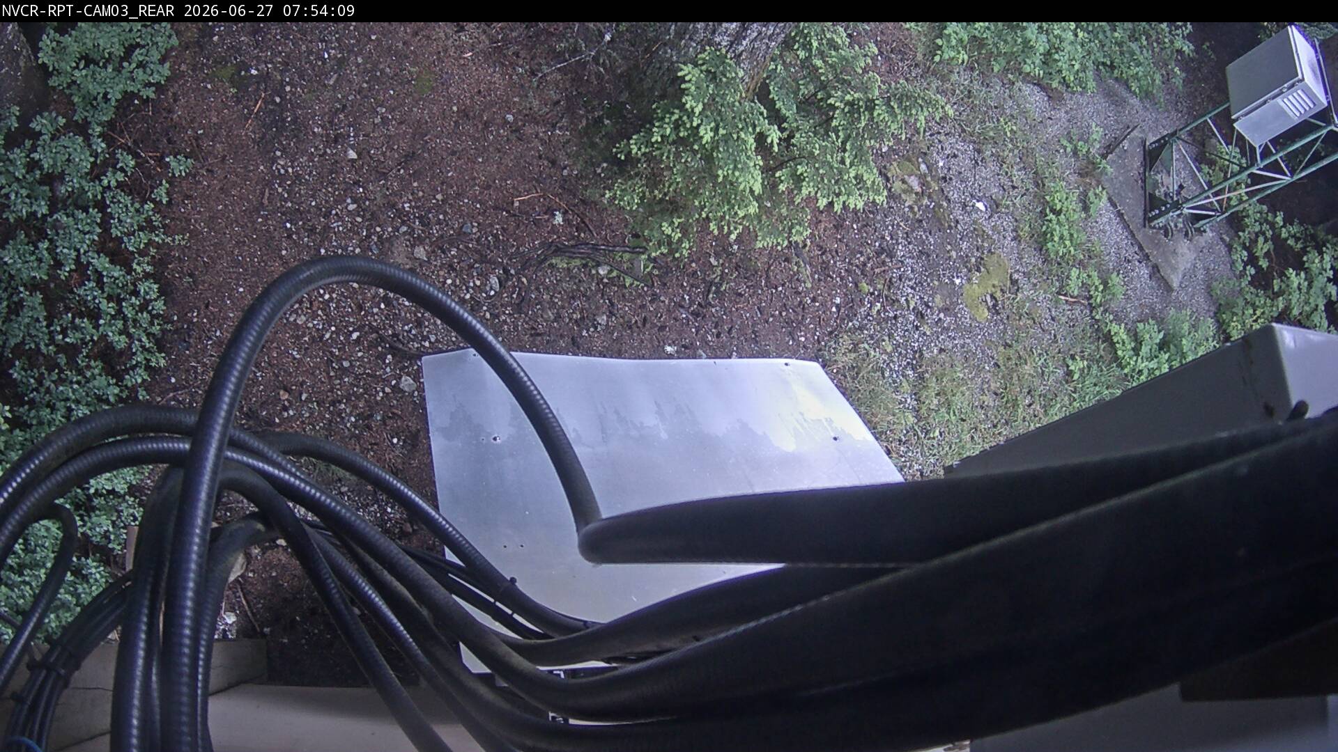 Web Cam History Image - 133
