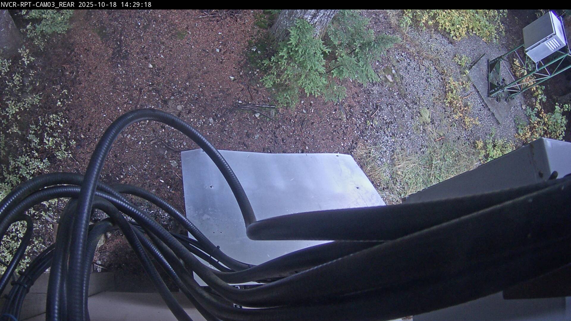 Web Cam History Image - 134