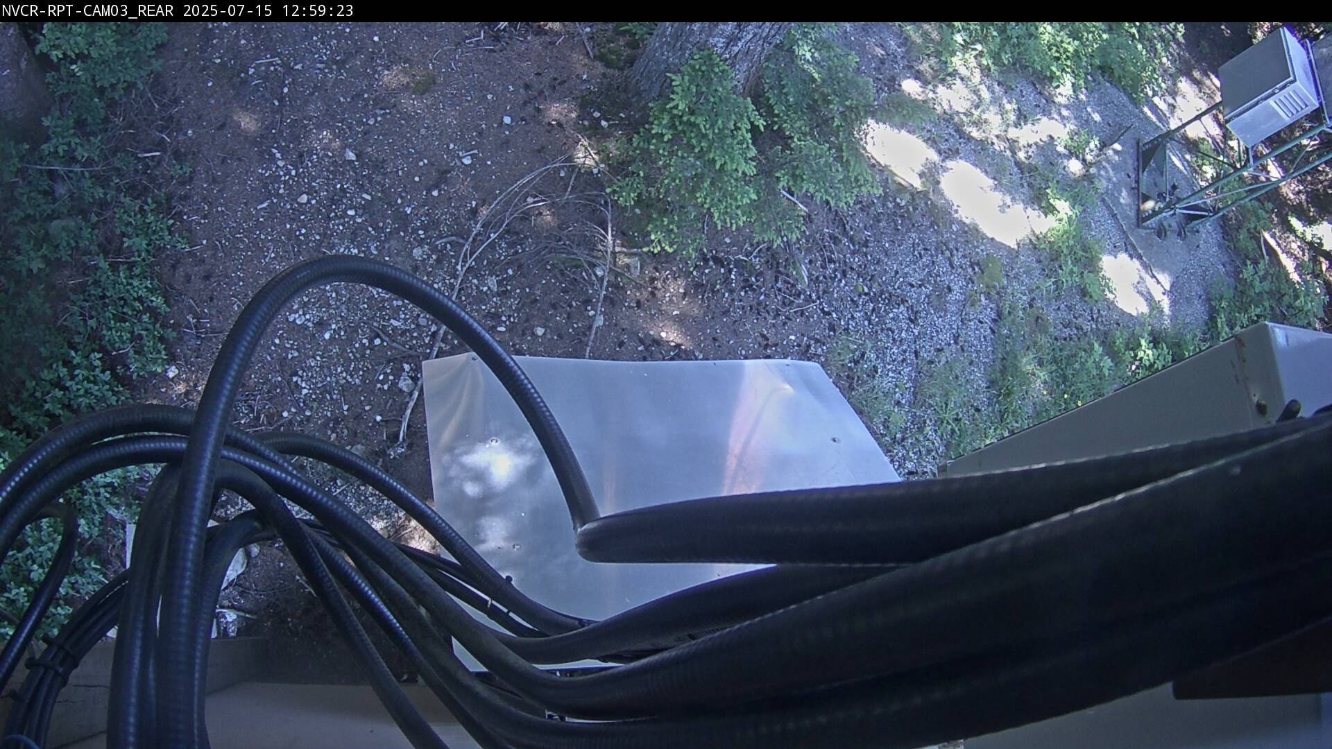 Web Cam History Image - 135