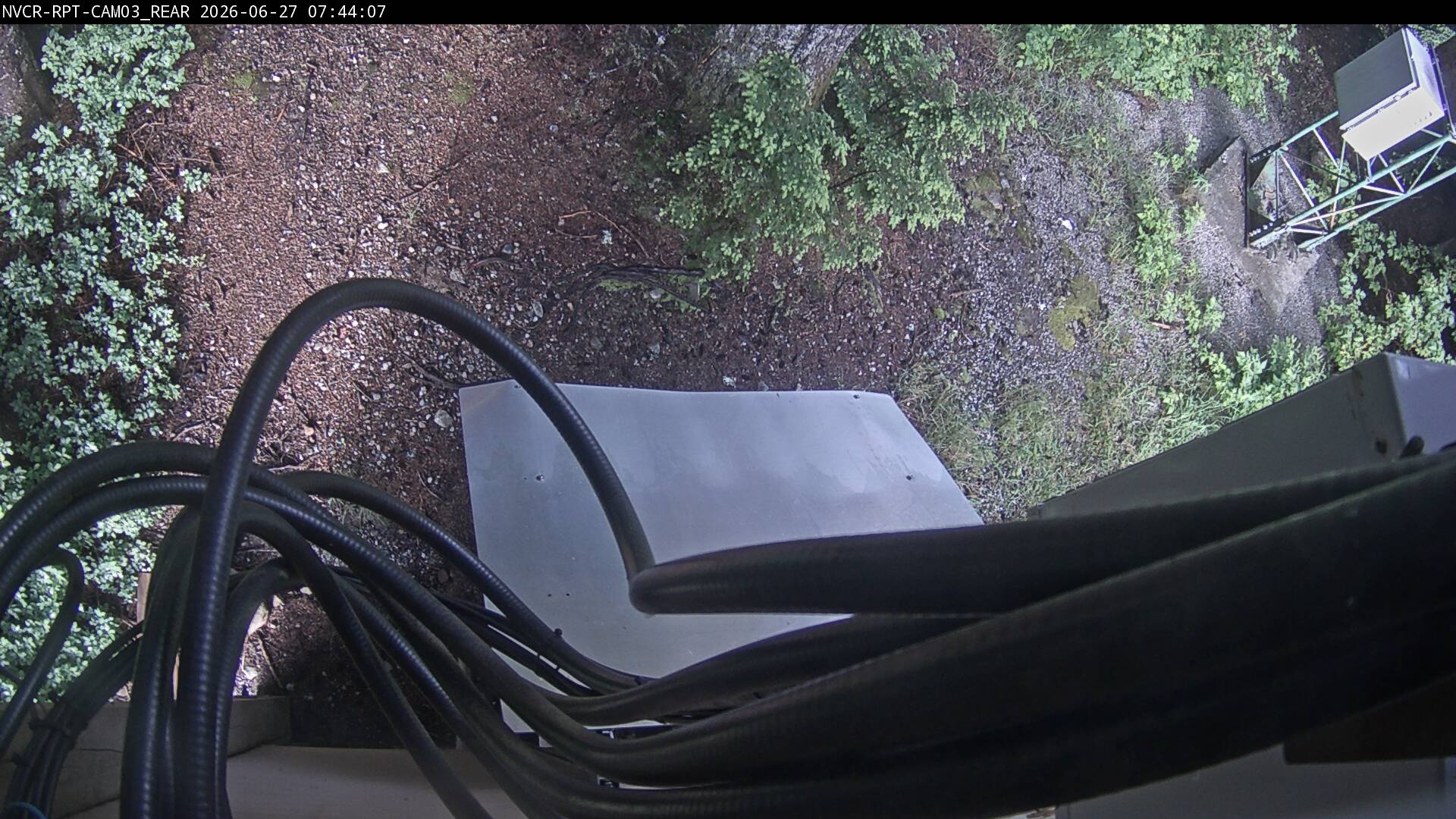 Web Cam History Image - 135