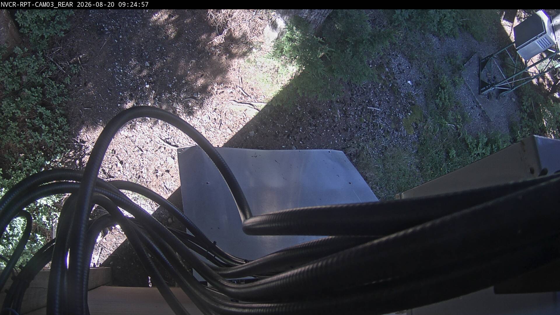 Web Cam History Image - 135