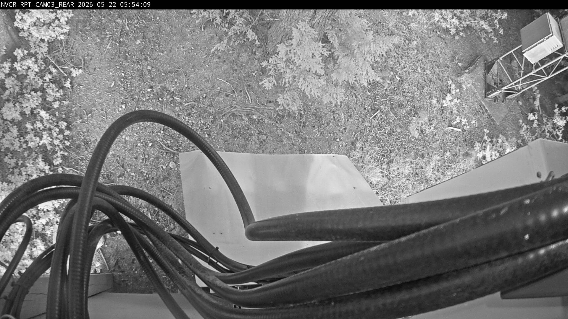 Web Cam History Image - 136
