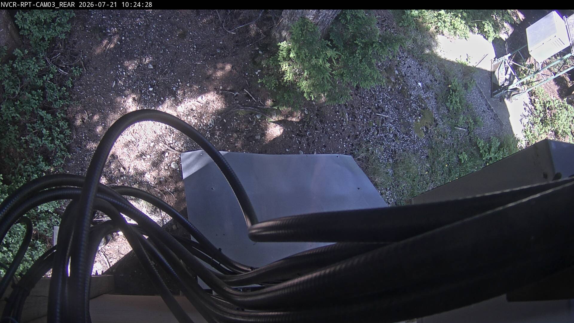 Web Cam History Image - 136