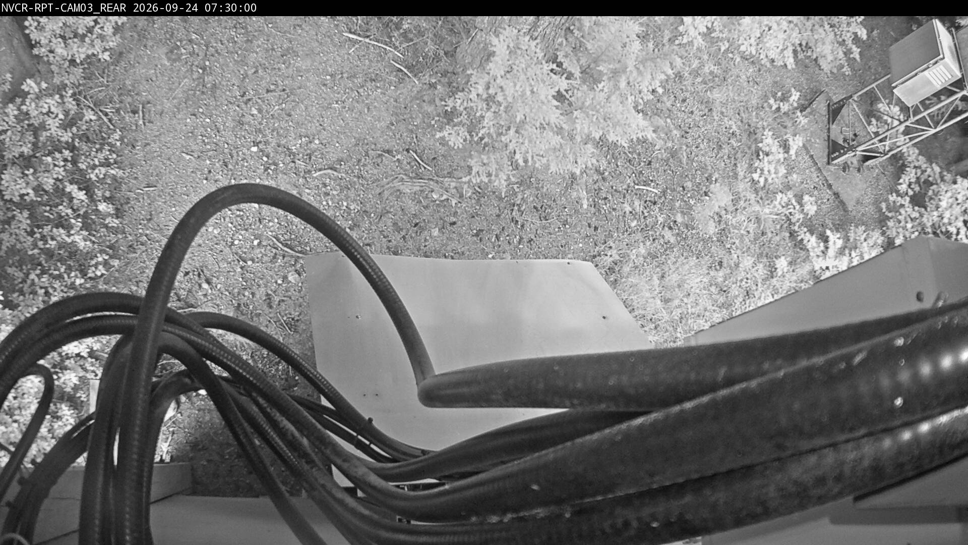 Web Cam History Image - 136