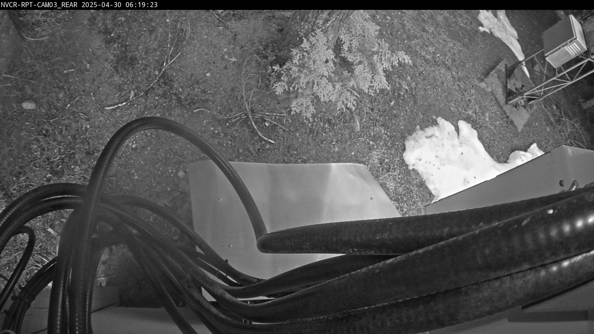 Web Cam History Image - 137