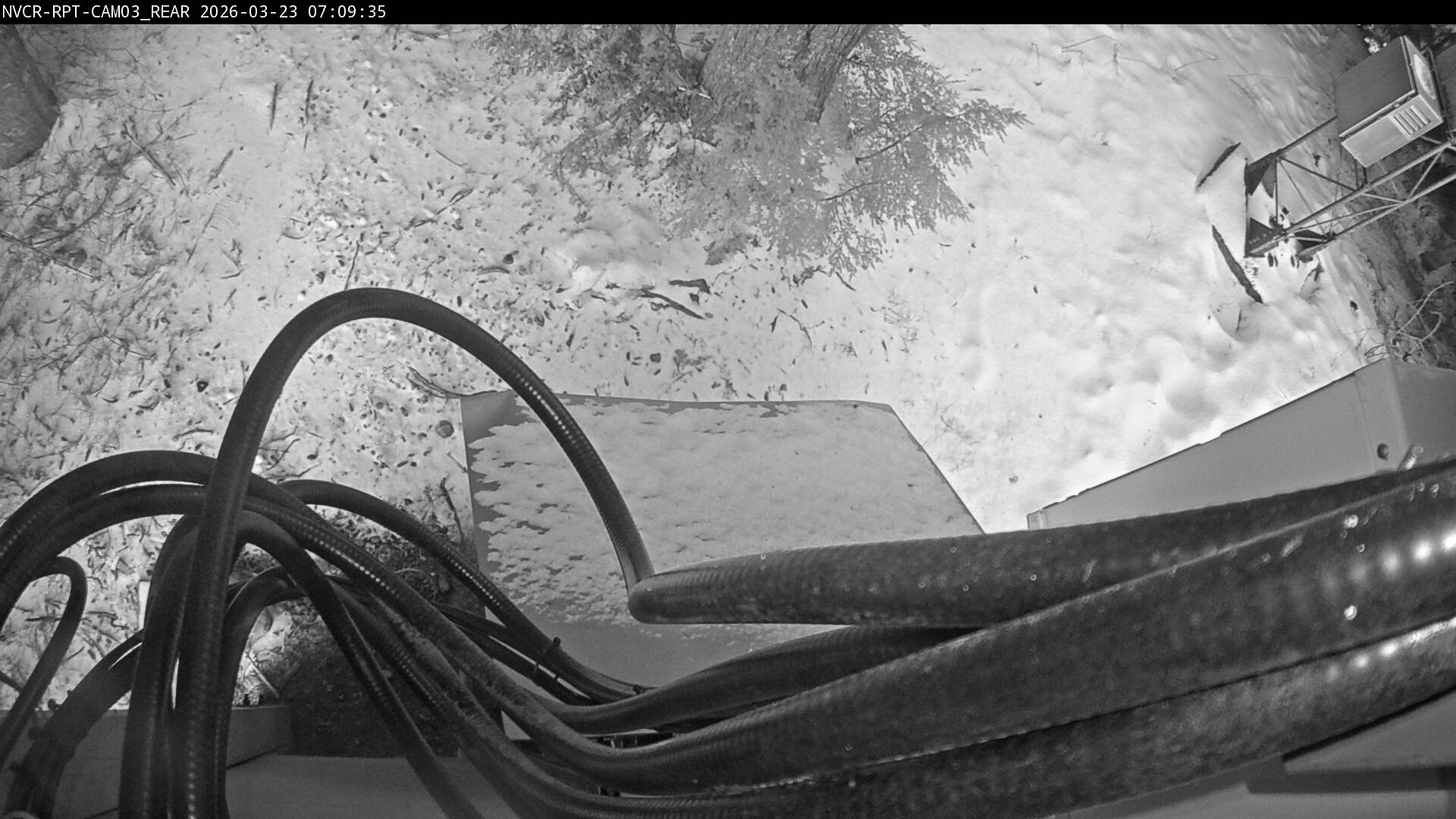 Web Cam History Image - 137