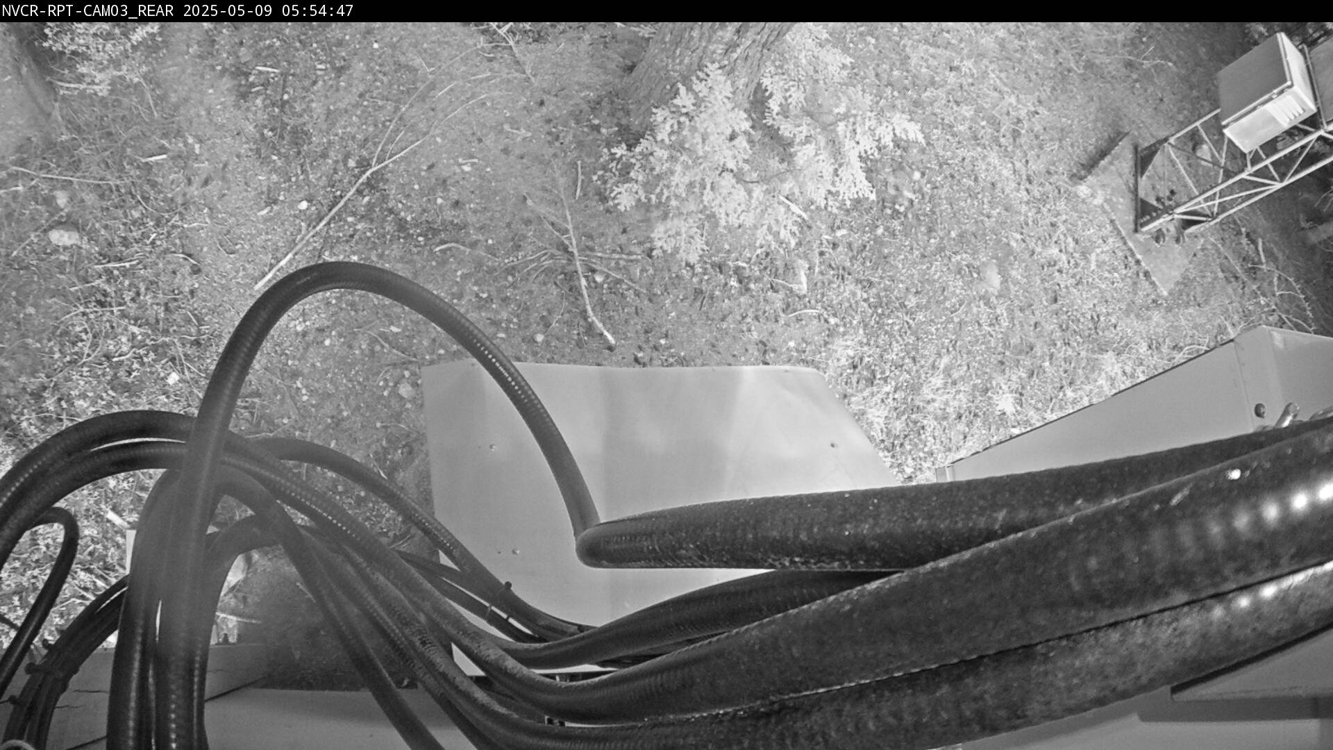 Web Cam History Image - 15