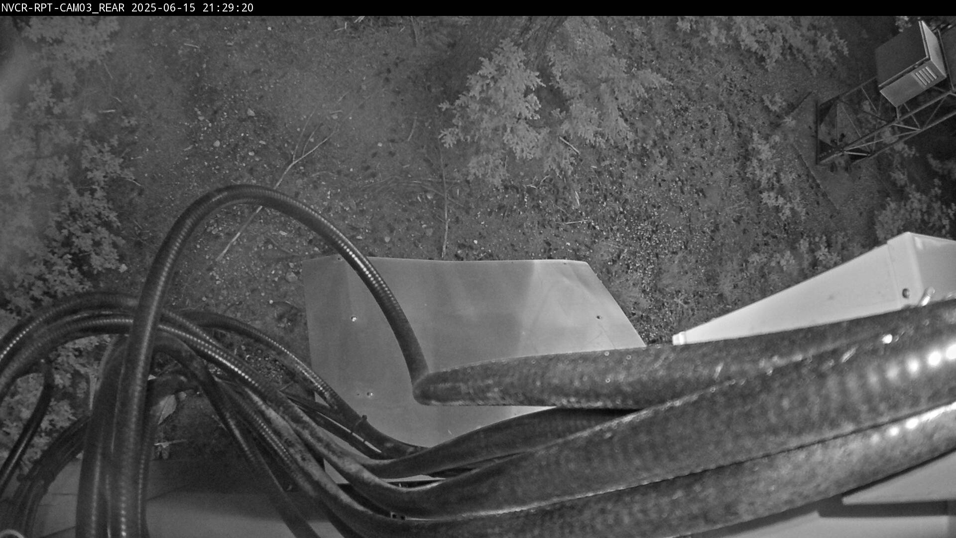 Web Cam History Image - 15