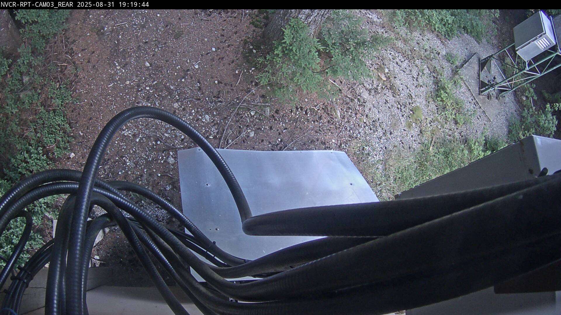 Web Cam History Image - 15