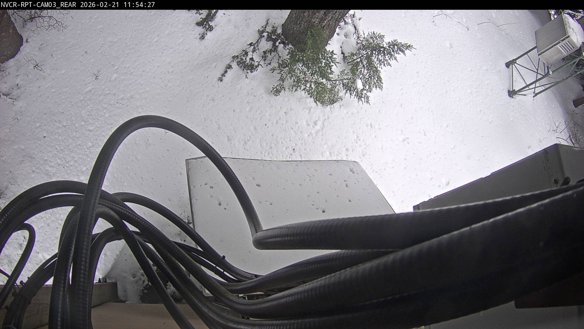 Web Cam History Image - 15