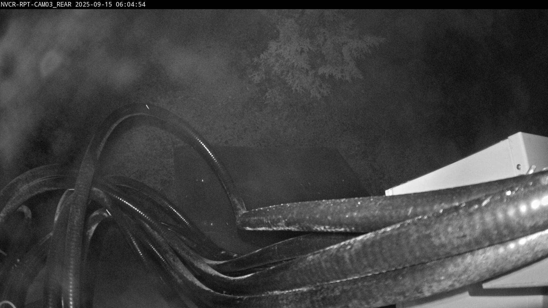 Web Cam History Image - 141