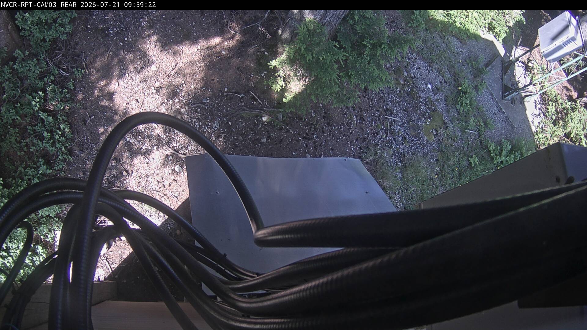 Web Cam History Image - 141