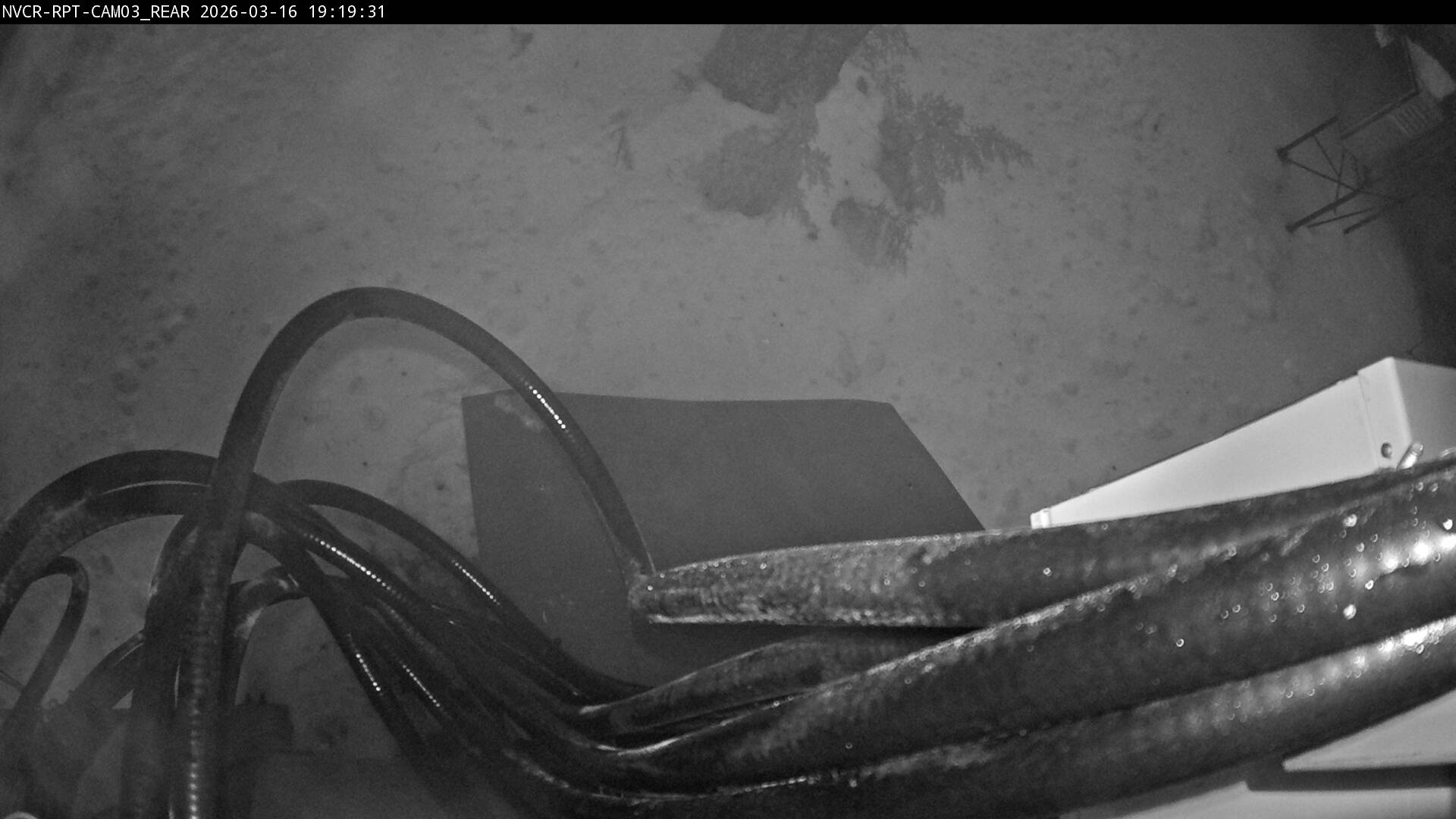 Web Cam History Image - 142