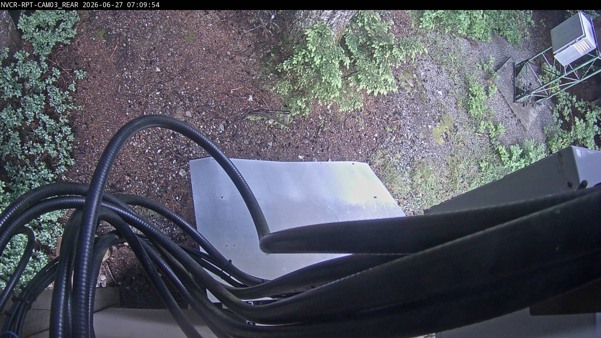 Web Cam History Image - 142