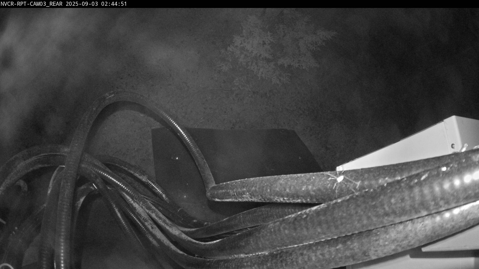 Web Cam History Image - 143