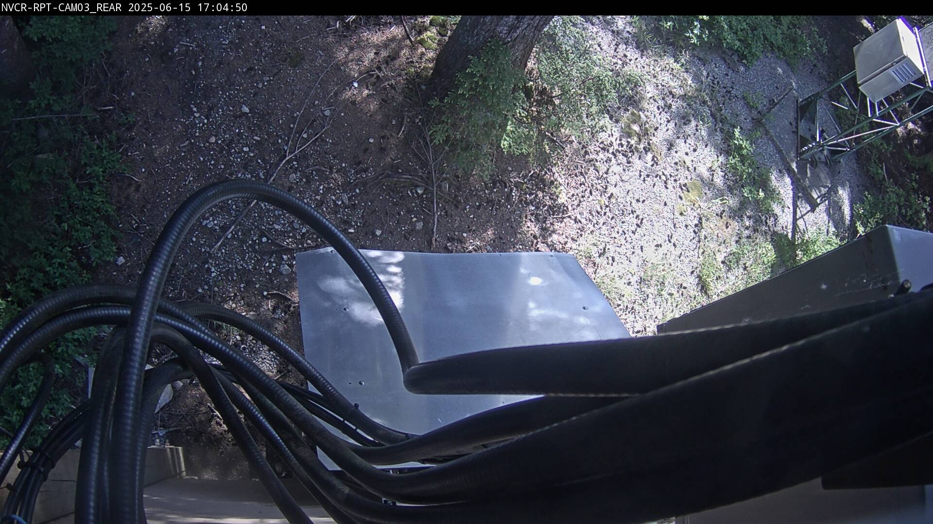 Web Cam History Image - 144
