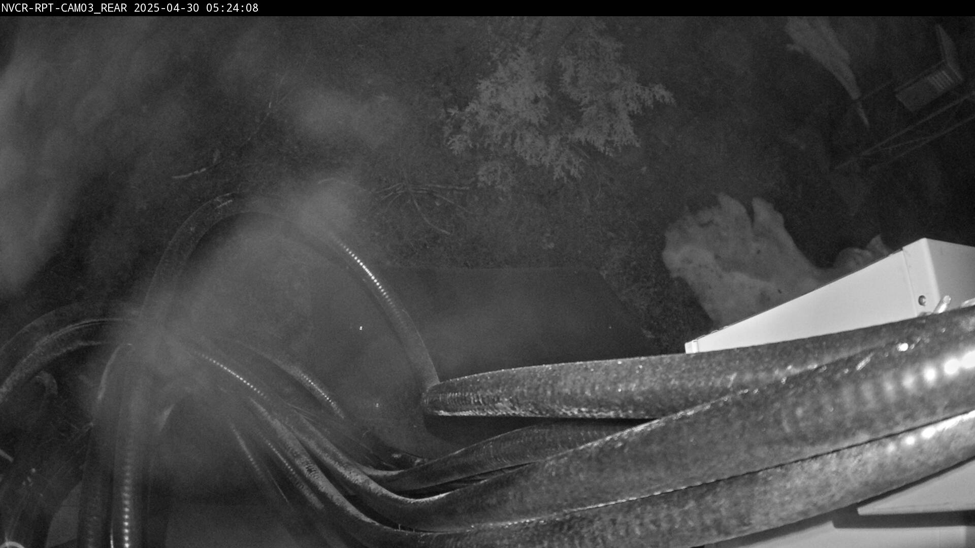 Web Cam History Image - 146