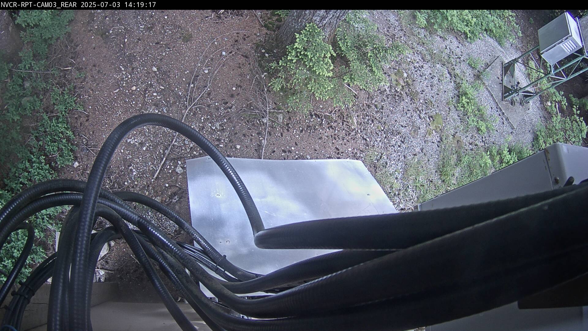 Web Cam History Image - 146
