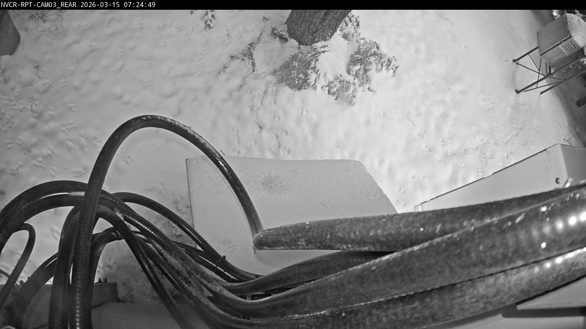 Web Cam History Image - 146