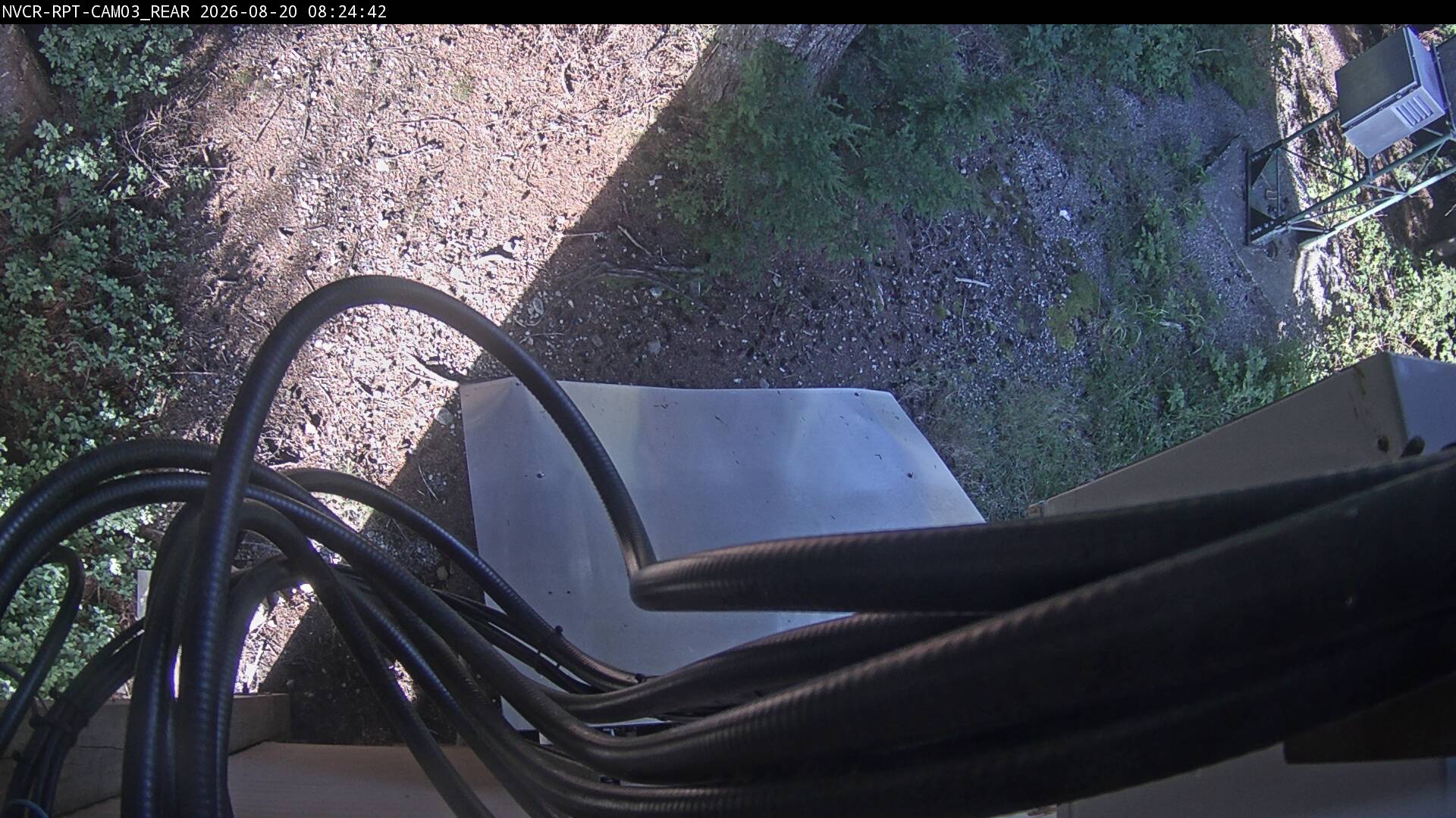 Web Cam History Image - 146