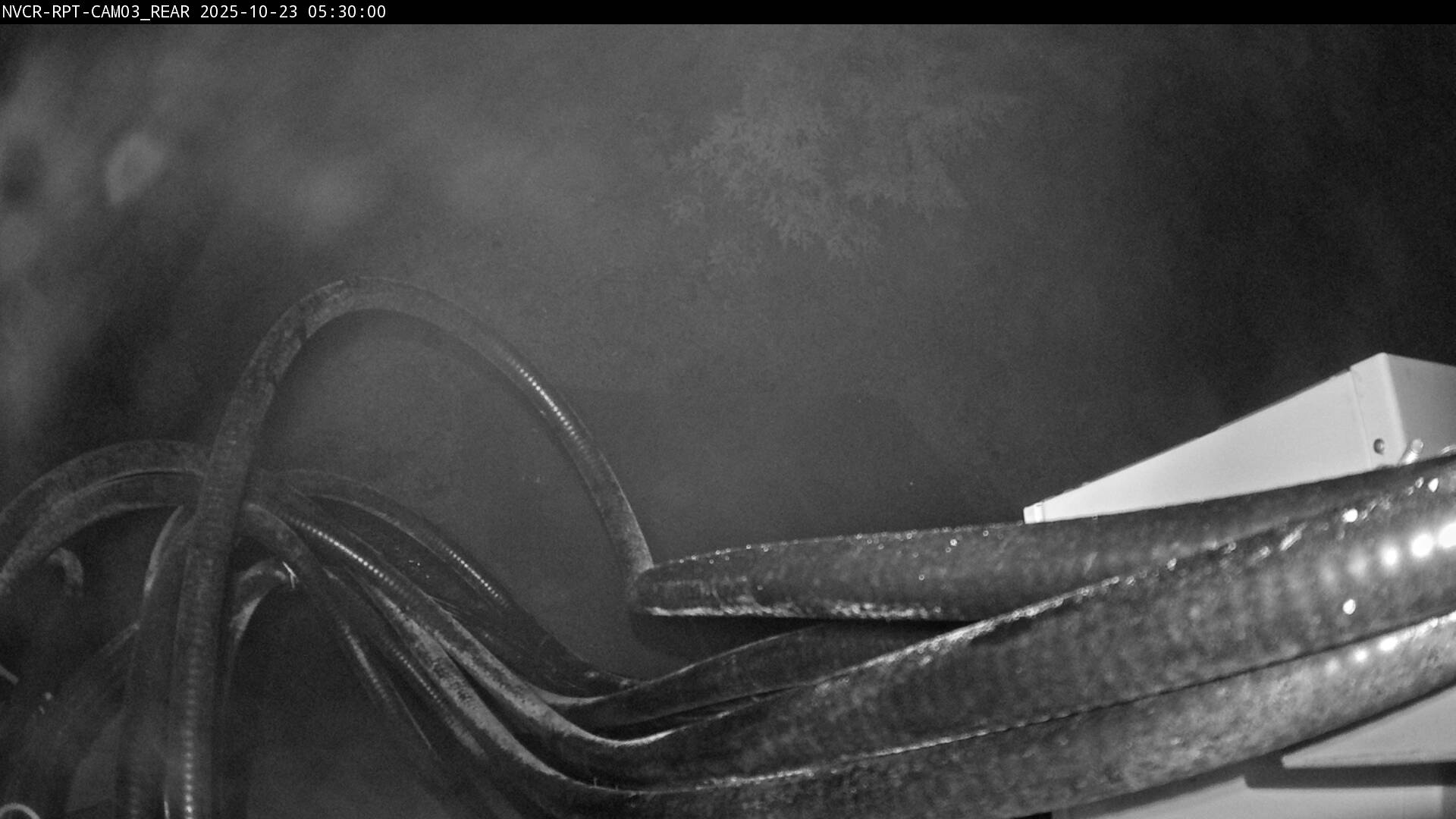 Web Cam History Image - 147